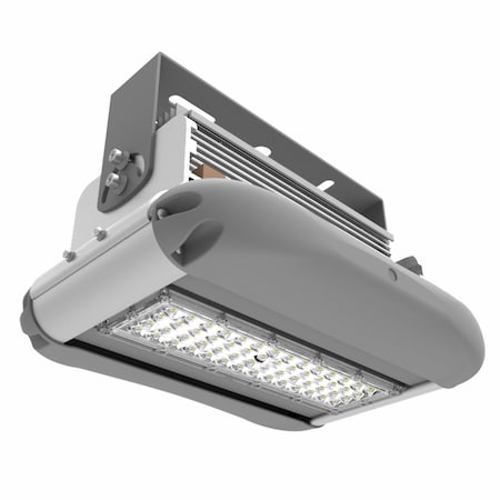 Led Lighting Supply 50W LED High Temperature Light, 6500 lm, 5000K, Rated-176F, 100V-277V MLLG-LED-HT80-50-50-110