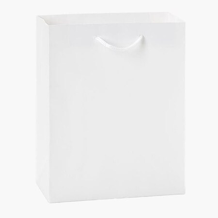 Nashville Wraps White Kraft Gift Bags, Cub 8x4x10, 100PK WTCBWH