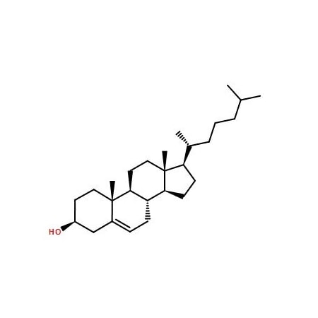 Ak Scientific Cholesterol (1kg), CAS 57-88-5 C781-1kg
