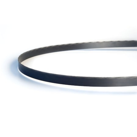 Lenox Professional Performance Portable Band Saw Blade, 44-7/8 in L, 1/2 in W x 0.02 in Thick, 14 TPI 8010738PW145