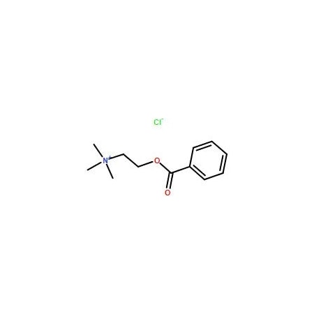 Ak Scientific Benzoylcholine chloride (25g), CAS 2964-09-2 6003AF-25g