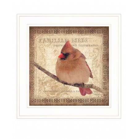 Homeroots Female Cardinal 1 White Framed Print Wall Art 407371