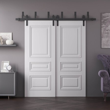 Sartodoors Sliding Closet Barn Bypass Doors 84x84 inches White Solid Core Modern Interior ROYAL9833BBB-EMAL-8484
