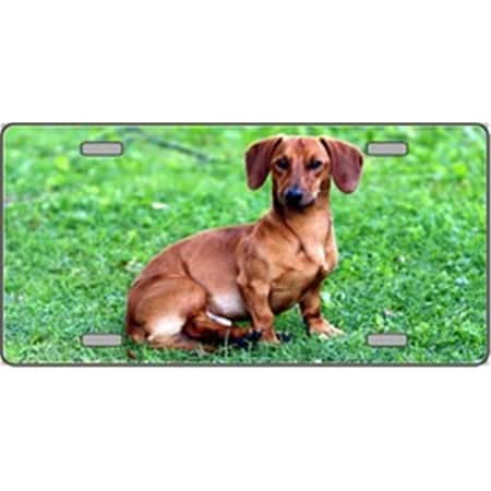Powerhouse Dachshund Dog Pet Novelty License Plates- Full Color Photography License Plates PO515087