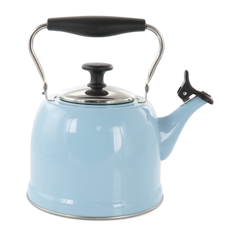 Martha Stewart Everyday Lily Pond 2.2 Quart Stainless Steel Tea Kettle in Periwinkle 137303.01