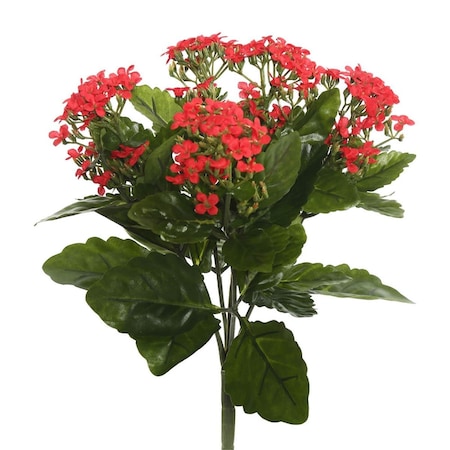 Dare2Decor 17.25 in. Kalanchoe Bush, Red DA1236065