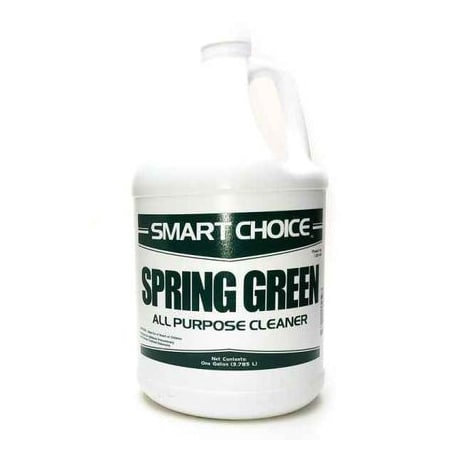 Renegade Products Usa Spring Green Janitorial All-Purpose Cleaner and Deodorizer Concentrate, 1 Gallon 1301G01