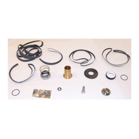 Taco 1 1/8 in. Type E Seal Kit 953-1549-3BRP