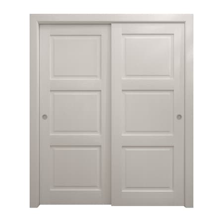 Sartodoors Sliding Closet Bypass Doors 60 x 96 inches, Ego 5010 Painted White Oak, Rails Hardware Set, Wood EGO5010DBD-PWO-6096