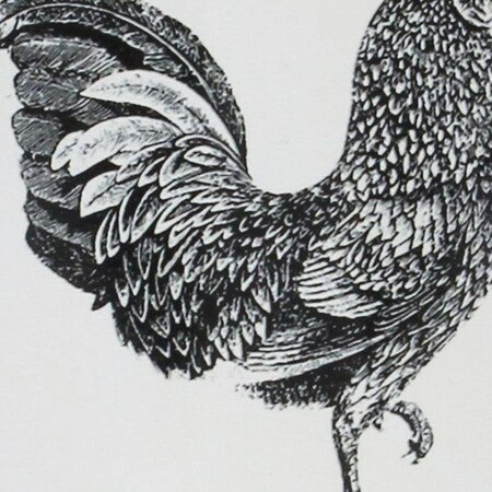 Homeroots 8" Black And White Metal Farm Fresh Chicken Decorative Jug 635816