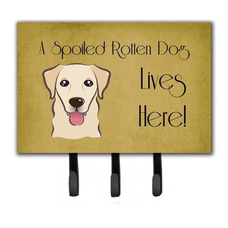 Carolines Treasures Golden Retriever Spoiled Dog Lives Here Leash and Key Holder BB1500TH68