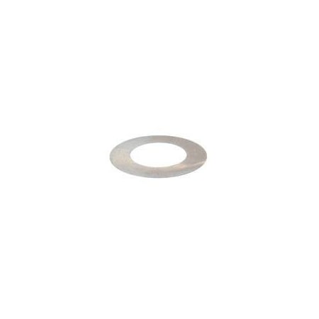 Hyster REPLACEMENT WASHER, 28.5MMX50MMX.2MM 4119905