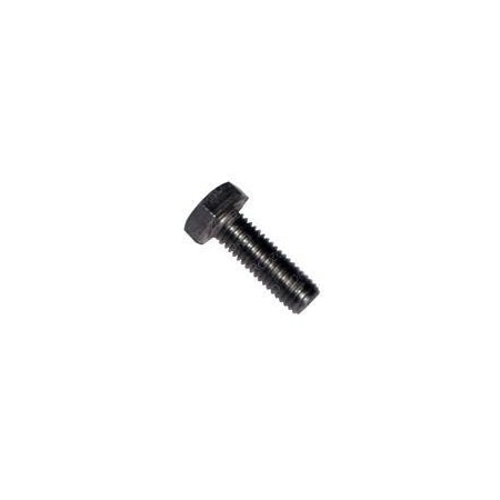 Tennant REPLACEMENT SCREW, HEX M10X1.5X30 SS 12317