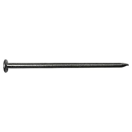 Zoro Select Common Nail, 2-3/8 in L, 8D, Steel, Plain Finish, 11 1/2 ga, 4200 PK 13003008