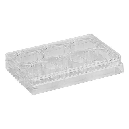 Dynalon Tissue Culture Well Plate, PK100 CL-P006