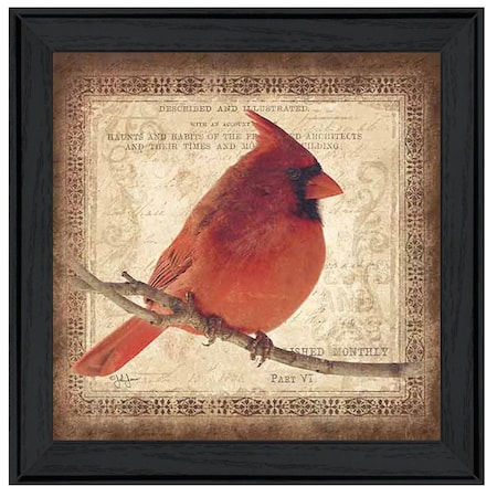 Homeroots Male Cardinal 2 Black Framed Print Wall Art 407370