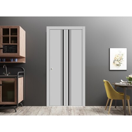 Sartodoors Sliding Closet Bi-fold Doors, Planum 0011 Matte Grey and Aluminum Strips, Sturdy Tracks Moldings Tr PLANUM0011BF-GRE-3696