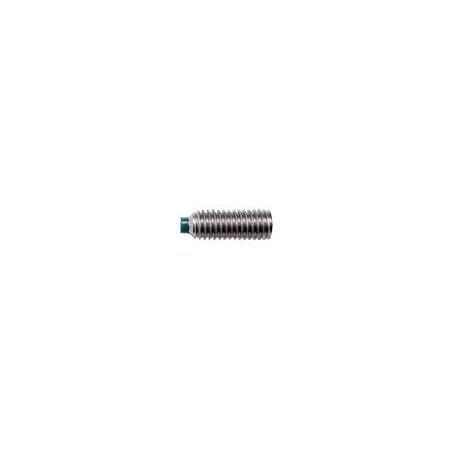 Nordex SET SCREWS, NYLNPT, SCKTHD, SS, INCH DDS-A2-31