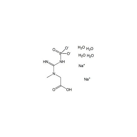 Ak Scientific Creatine phosphate disodium salt tetrahydrate (25g), CAS 71519-72-7 I749-25g