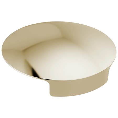 Delta Glass Rinser Cover RP101289PN