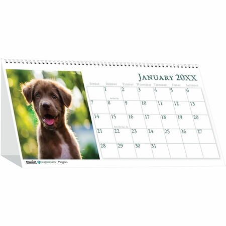 House Of Doolittle 8-1/2 x 4-1/2" Monthly Desktop Tent Calendar, Puppies HOD3659