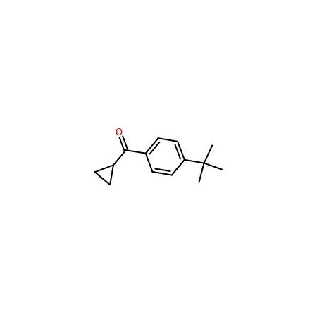 Ak Scientific 4-tert-Butylphenyl cyclopropyl ketone (1g), CAS 38675-79-5 Q398-1g