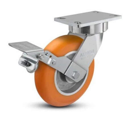 Albion Caster, Maintenance-Free, 10x2, 38AN10228SFBK 38AN10228SFBK