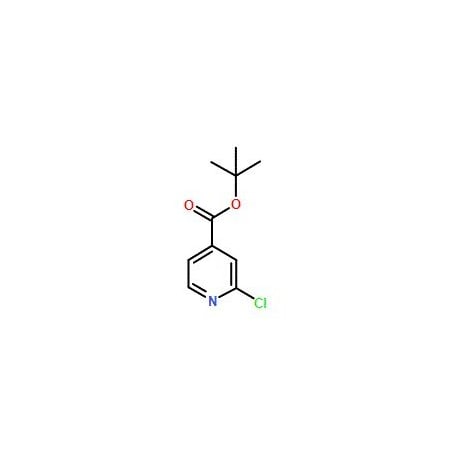 Ak Scientific 4-Boc-2-chloropyridine (10g), CAS 295349-62-1 U902-10g