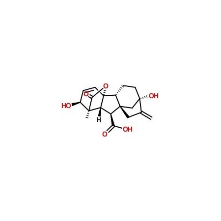 Ak Scientific Gibberellic acid (1g), CAS 77-06-5 K339-1g