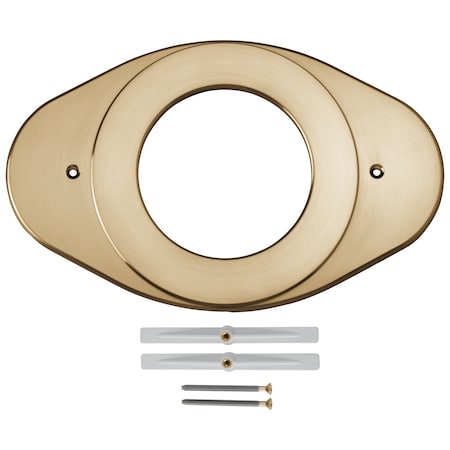 Delta Shower Renovation Cover Plate In Champagne Bronze RP29827CZ