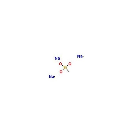 Ak Scientific Sodium methylsiliconate (25g), CAS 16589-43-8 Y1448-25g