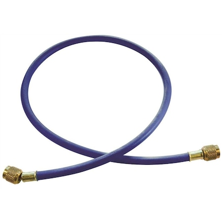 Jb Industries Single Standard Blue Hose 60 in CL-60B