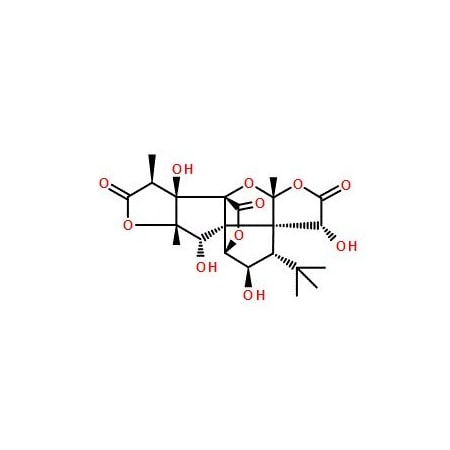 Ak Scientific Ginkgolide C (25mg), CAS 15291-76-6 V0724-25mg