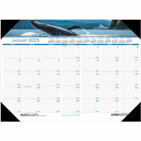 House Of Doolittle Earthscapes Sea Life Desk Pad, 22'' x 17'', 2025 193