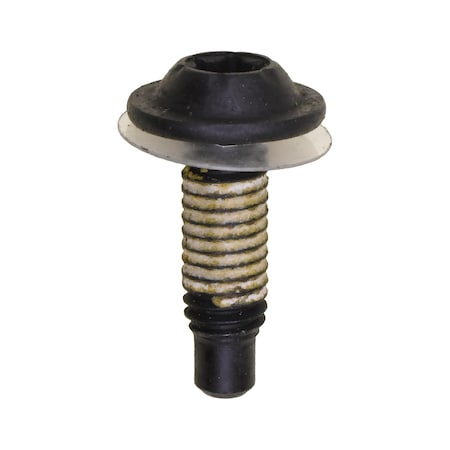 Auveco Torx Washer Head Body Bolt M6-1.0 x 20mm, 25PK 18515