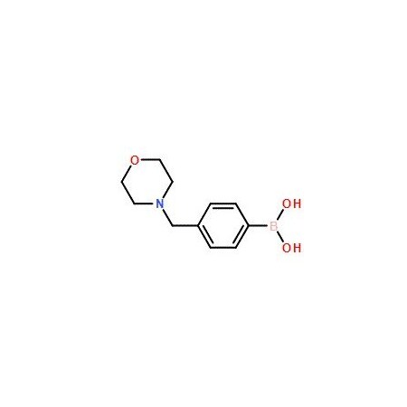 Ak Scientific 4-(Morpholinylmethyl)phenylboronic acid (25g), CAS 279262-23-6 Z0468-25g
