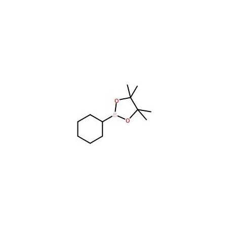Ak Scientific Cyclohexylboronic acid pinacol ester (25g), CAS 87100-15-0 X2571-25g