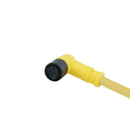 Brady IFMFemale cordset E18405