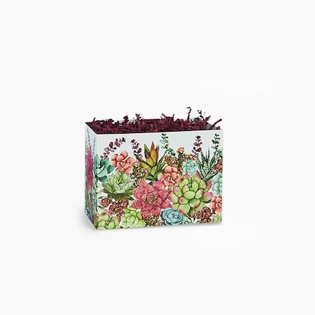 Nashville Wraps Succulent Garden Basket Boxes, Small, 6.75x4x5, 6PK SGS