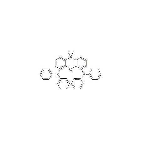 Ak Scientific 9, 9-Dimethyl-4, 5-bis(diphenylphosphino)xanthene (5g), CAS 161265-03-8 L893-5g