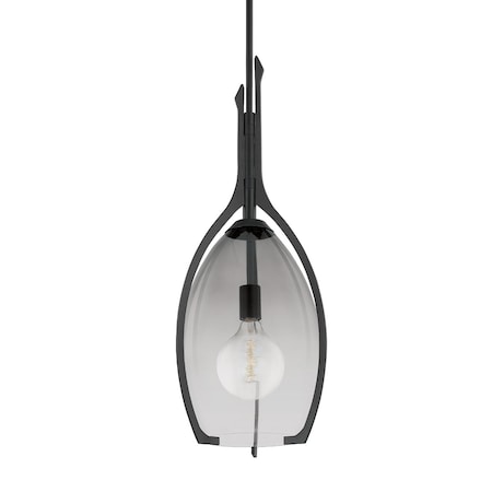 Troy Lighting Pacifica 1 Light Pendant 12.5 In. Forged Iron F8313-FOR