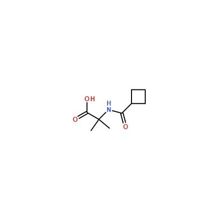 Ak Scientific N-(CycloButylCarbonyl)-2-Me-Ala-OH (5g), CAS 1219960-66-3 1498AD-5g