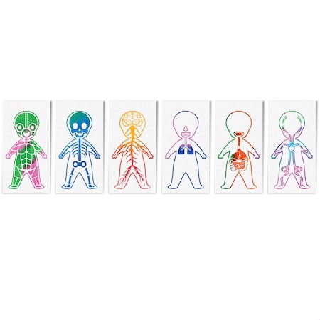 Roylco Look Inside Me Paint Sheets, 6 Designs, 150PK R75507