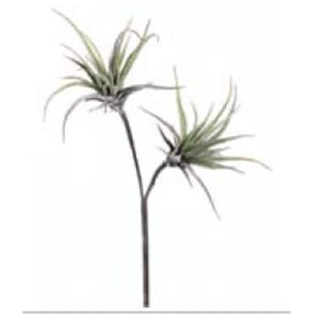 Dwellingdesigns 21.5 in. Medium Tillandsia Spray X2, 12PK DW35026