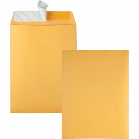 Quality Park Catalog Envelope, Lt Brown, Kraft, PK100 QUA44562