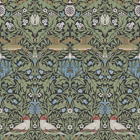 A-Street Prints Bird Multicolor Floral Thicket Wallpaper 4171-82062