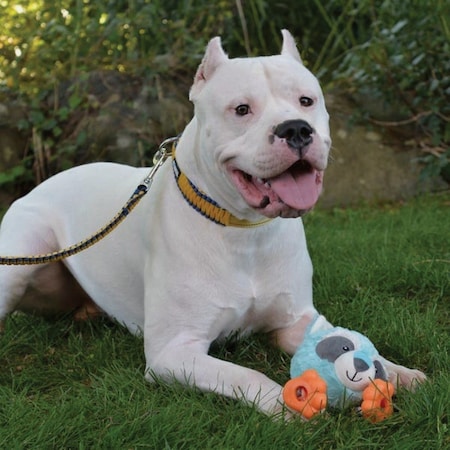 Boss Pet Pet Park Blvd Footies Raccoon Dog Toy US2263 13