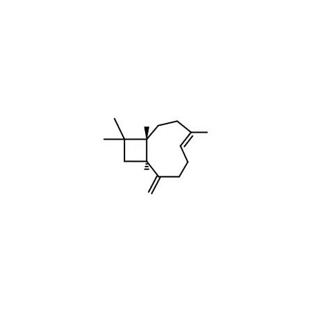 Ak Scientific (-)-trans-Caryophyllene (5mL), CAS 87-44-5 V0915-5mL