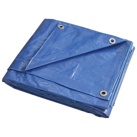Prosource Tarpaulin, 8 ft L, 6 ft W, 5 mil Thick, Polyethylene, Blue T0608BB90