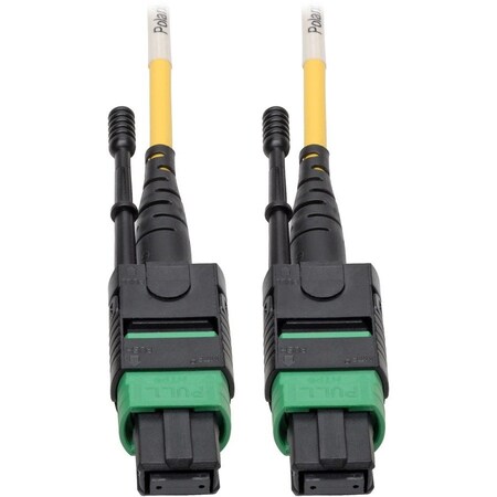 Eaton Tripp Lite Series MTP/MPO APC Singlemode Patch Cable F/F, 12 Fiber, 40/100 GbE, QSFP+ N390-02M-12-AP